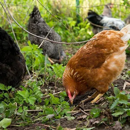 Gutshof Langensee Apartmán